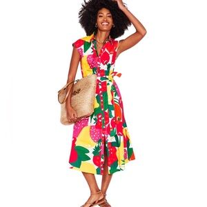 NWT Boden Rachel Cotton Midi Shirt Dress  Fruit Print Sz 14R Colorful Easter